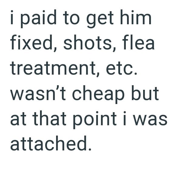 i paid to get him fixed, shots, flea treatment, etc. wasn't cheap but at that point i was attached.