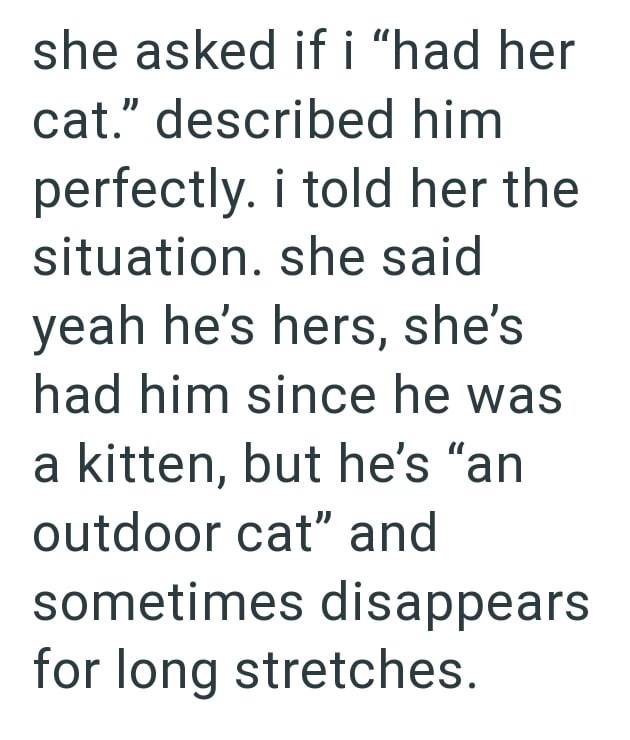 she asked if i "had her cat." described him perfectly. i told her the situation. she said yeah he's hers, she's had him since he was a kitten, but he's "an outdoor cat" and sometimes disappears for long stretches.