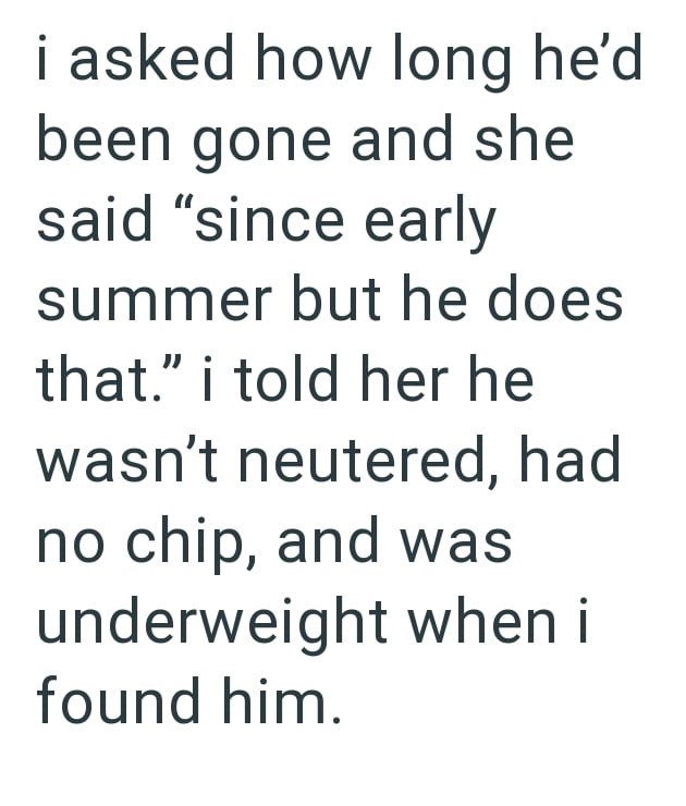 i asked how long he'd been gone and she said "since early summer but he does that." i told her he wasn't neutered, had no chip, and was underweight when i found him.