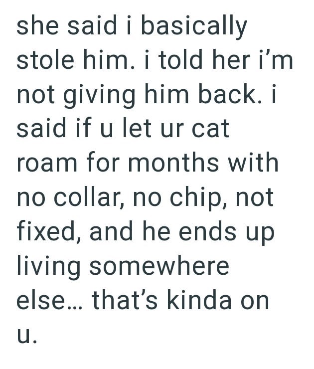she said i basically stole him. i told her i'm not giving him back. i said if u let ur cat roam for months with no collar, no chip, not fixed, and he ends up living somewhere else... that's kinda on u.