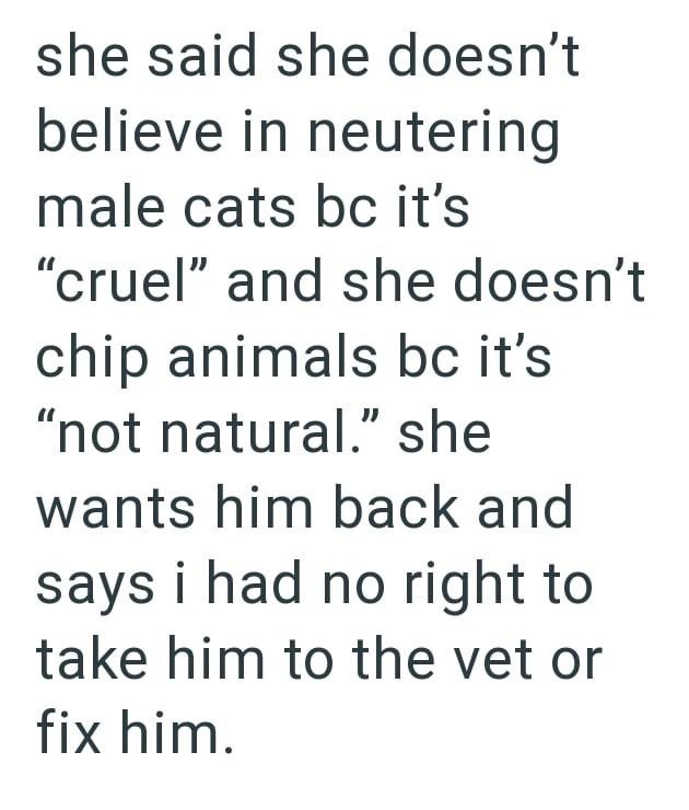 she said she doesn't believe in neutering male cats bc it's "cruel" and she doesn't chip animals bc it's "not natural." she wants him back and says i had no right to take him to the vet or fix him.
