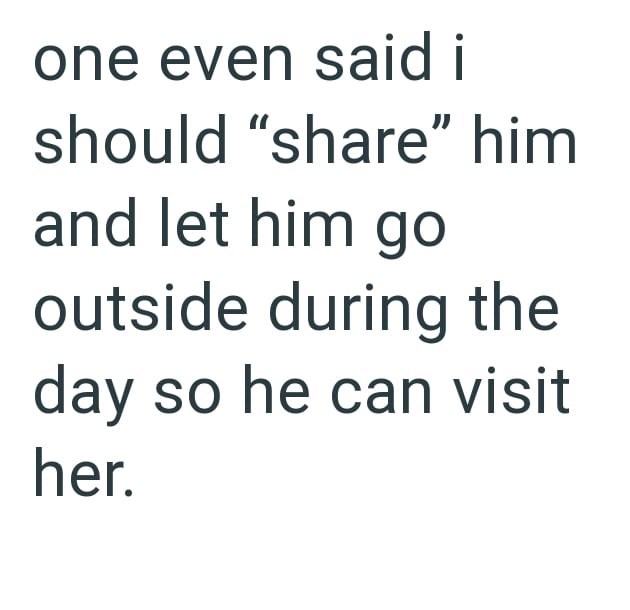 one even said i should "share" him and let him go outside during the day so he can visit her.