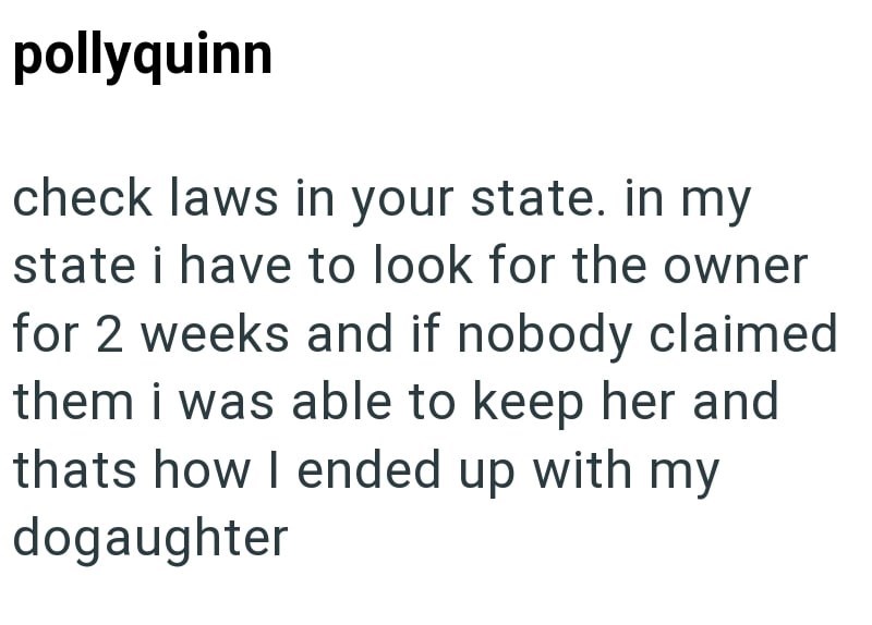 pollyquinn check laws in your state. in my state i have to look for the owner for 2 weeks and if nobody claimed them i was able to keep her and thats how I ended up with my dogaughter
