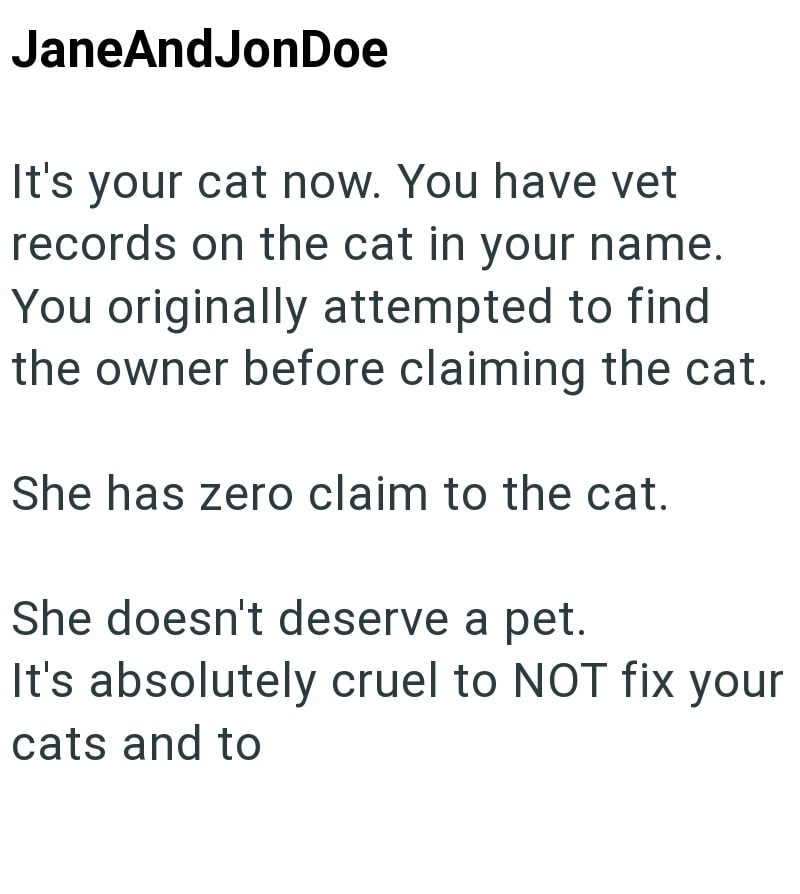 JaneAndJonDoe It's your cat now. You have vet records on the cat in your name. You originally attempted to find the owner before claiming the cat. She has zero claim to the cat. She doesn't deserve a pet. It's absolutely cruel to NOT fix your cats and to