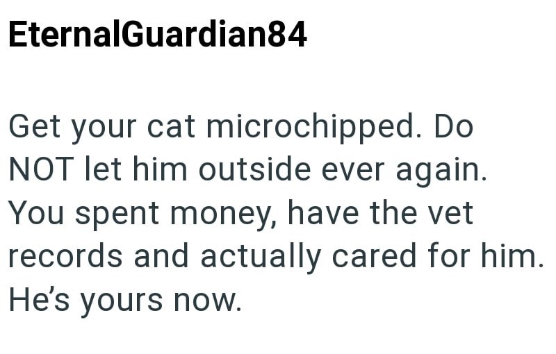EternalGuardian84 Get your cat microchipped. Do NOT let him outside ever again. You spent money, have the vet records and actually cared for him. He's yours now.