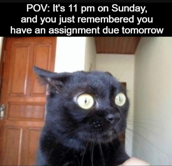 POV: It's 11 pm on Sunday, and you just remembered you have an assignment due tomorrow