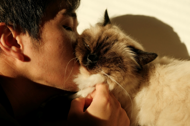 Heartwarming Moment Between Man and Cat