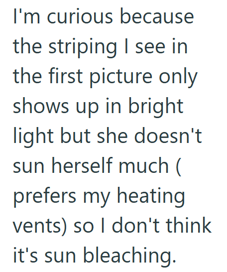 I'm curious because the striping I see in the first picture only shows up in bright light but she doesn't sun herself much ( prefers my heating vents) so I don't think it's sun bleaching.