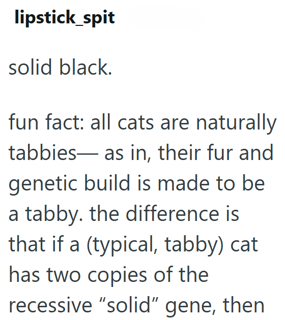 lipstick_spit solid black. fun fact: all cats are naturally. tabbies as in, their fur and genetic build is made to be a tabby. the difference is that if a (typical, tabby) cat has two copies of the recessive "solid" gene, then