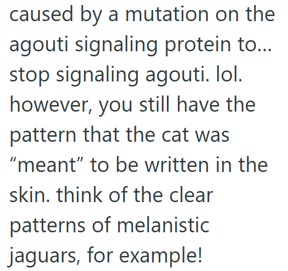 caused by a mutation on the agouti signaling protein to... stop signaling agouti. lol. however, you still have the pattern that the cat was "meant" to be written in the skin. think of the clear patterns of melanistic jaguars, for example!