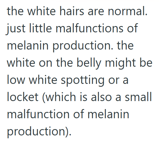 the white hairs are normal. just little malfunctions of melanin production. the white on the belly might be. low white spotting or a locket (which is also a small malfunction of melanin production).