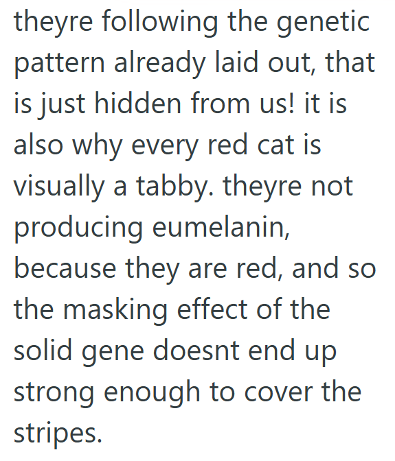 theyre following the genetic pattern already laid out, that is just hidden from us! it is also why every red cat is visually a tabby. theyre not producing eumelanin, because they are red, and so the masking effect of the solid gene doesnt end up strong enough to cover the stripes.