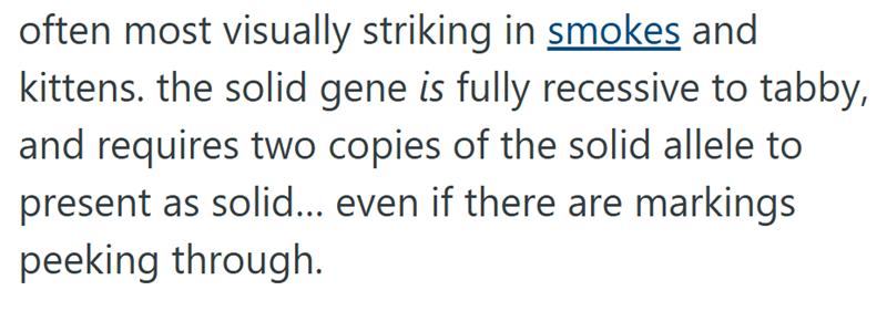 often most visually striking in smokes and kittens. the solid gene is fully recessive to tabby, and requires two copies of the solid allele to present as solid... even if there are markings peeking through.