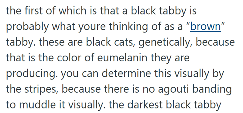 the first of which is that a black tabby is probably what youre thinking of as a "brown" tabby. these are black cats, genetically, because that is the color of eumelanin they are producing. you can determine this visually by the stripes, because there is no agouti banding to muddle it visually. the darkest black tabby