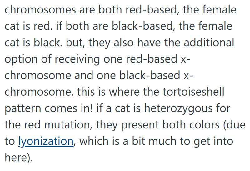 chromosomes are both red-based, the female cat is red. if both are black-based, the female cat is black. but, they also have the additional option of receiving one red-based x- chromosome and one black-based x- chromosome. this is where the tortoiseshell pattern comes in! if a cat is heterozygous for the red mutation, they present both colors (due to lyonization, which is a bit much to get into here).