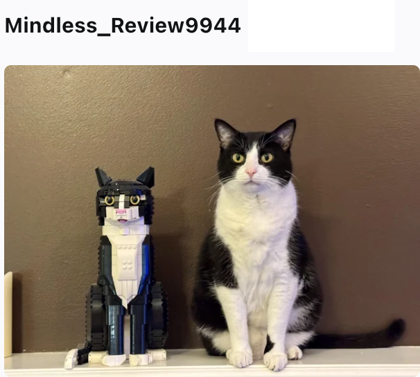 Mindless_Review9944 09