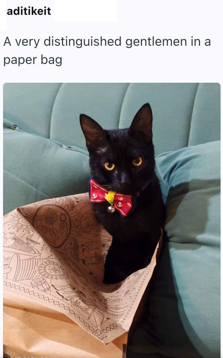 aditikeit A very distinguished gentlemen in a paper bag wwwwww