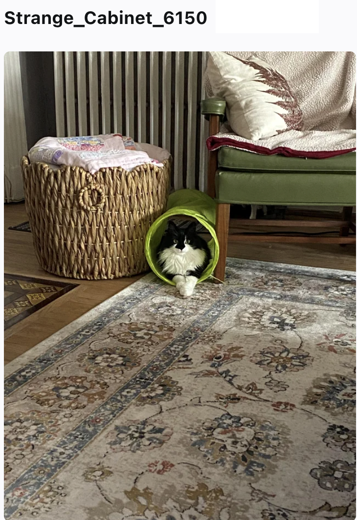 Strange_Cabinet_6150