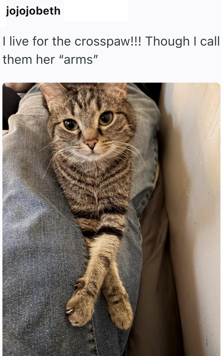 jojojobeth I live for the crosspaw!!! Though I call them her "arms"