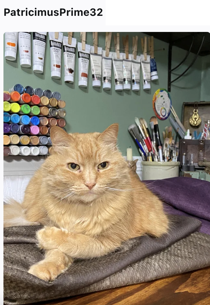 PatricimusPrime32 HEAVY HEAVY