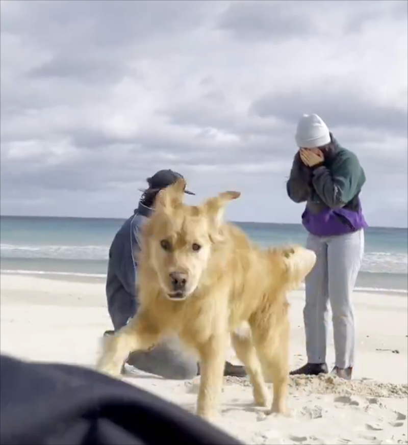 Cheezburger Image 10610795008