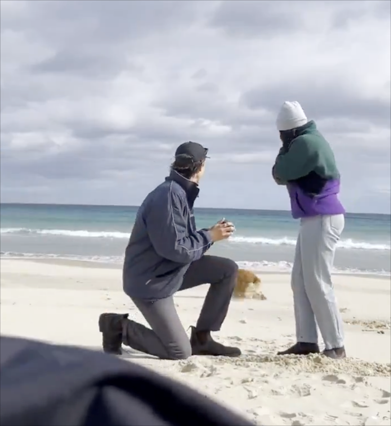 Cheezburger Image 10610795264