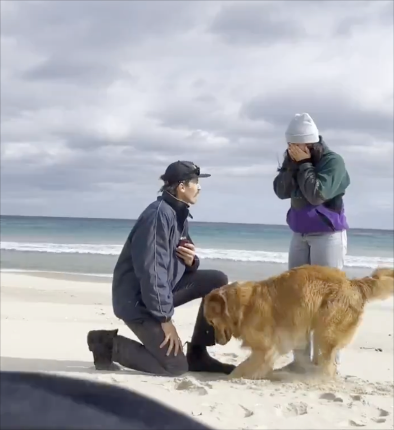 Cheezburger Image 10610795520