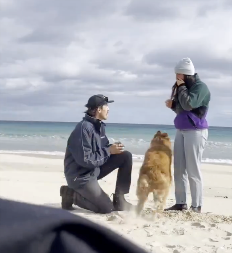 Cheezburger Image 10610796288