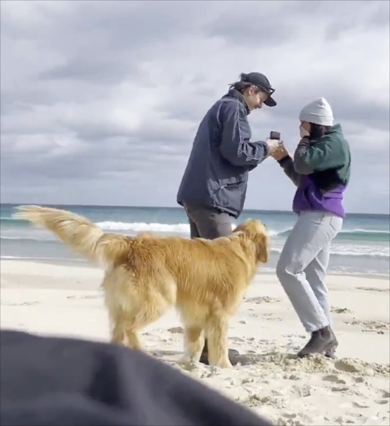 Cheezburger Image 10610797568