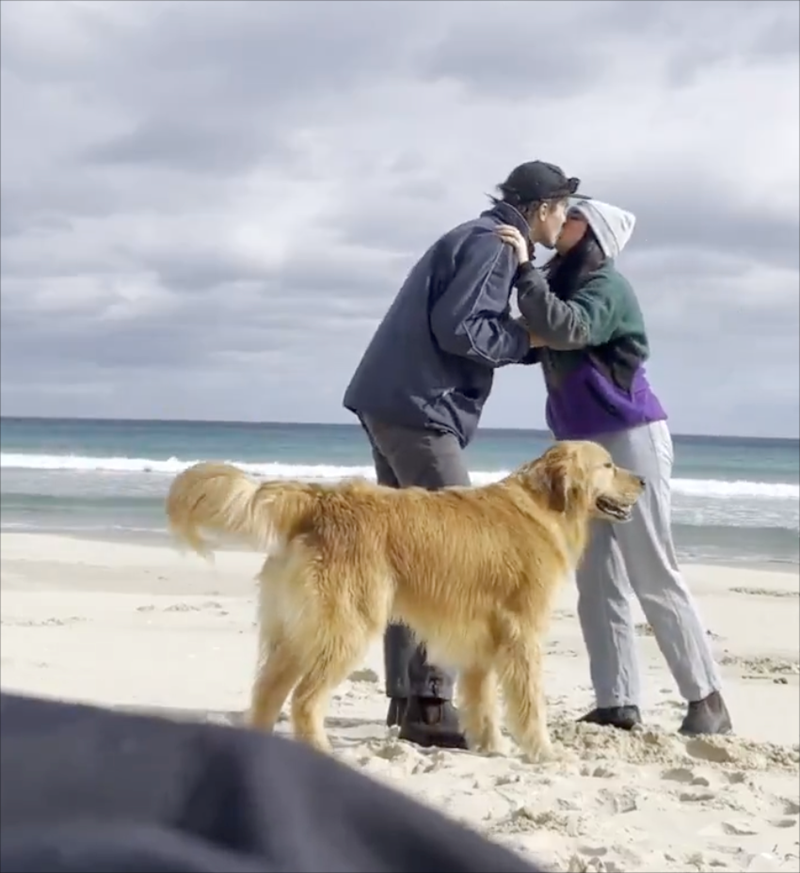 Cheezburger Image 10610798080