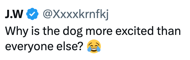 J.W @Xxxxkrnfkj Why is the dog more excited than everyone else?