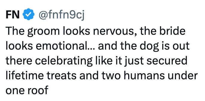 FN ✔ @fnfn9cj The groom looks nervous, the bride looks emotional... and the dog is out there celebrating like it just secured lifetime treats and two humans under one roof