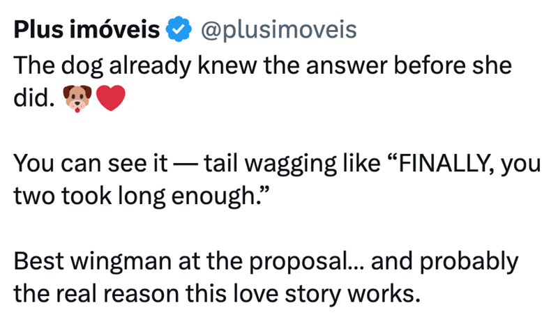 Plus imóveis ✔ @plusimoveis The dog already knew the answer before she did. You can see it - tail wagging like "FINALLY, you two took long enough." Best wingman at the proposal... and probably the real reason this love story works.