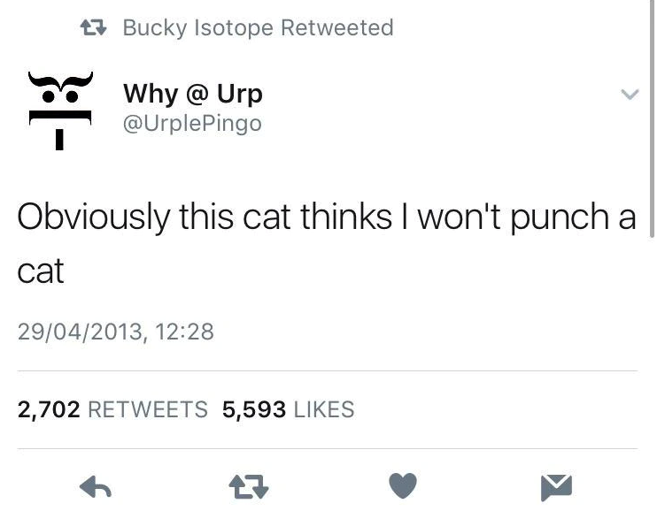 Bucky Isotope Retweeted Why @ Urp @UrplePingo }:[- Obviously this cat thinks I won't punch a cat 29/04/2013, 12:28 2,702 RETWEETS 5,593 LIKES 17