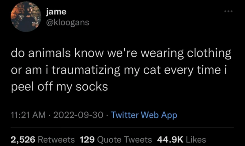 jame @kloogans do animals know we're wearing clothing or am i traumatizing my cat every time i peel off my socks 11:21 AM - 2022-09-30 Twitter Web App 2,526 Retweets 129 Quote Tweets 44.9K Likes