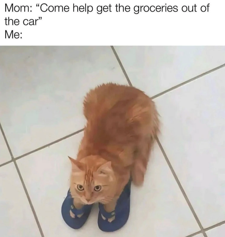 Mom: "Come help get the groceries out of the car" Me: