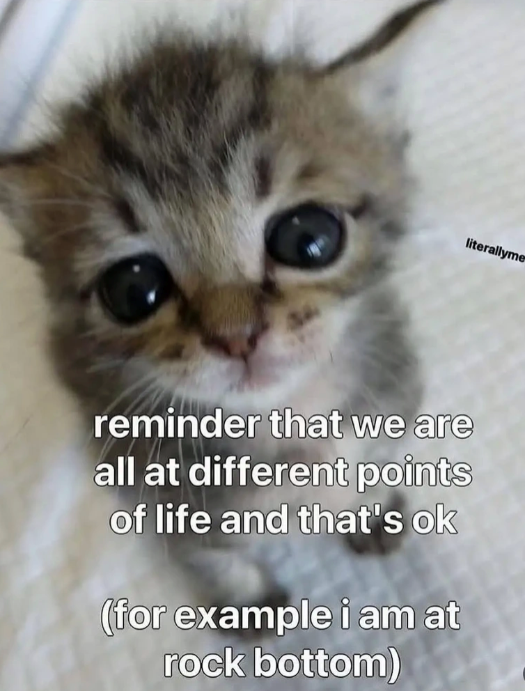 literallyme reminder that we are all at different points of life and that's ok (for example i am at rock bottom)