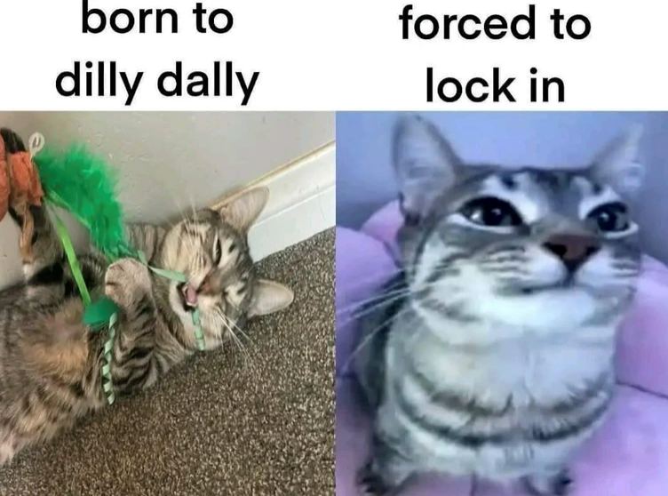 born to dilly dally forced to lock in