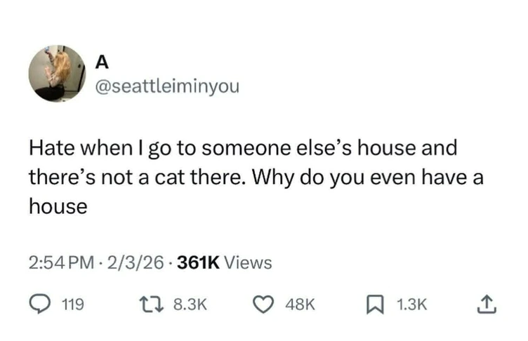 A @seattleiminyou Hate when I go to someone else's house and there's not a cat there. Why do you even have a house 2:54 PM 2/3/26 361K Views 119 18.3K 48K 1.3K <]