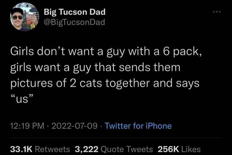 Big Tucson Dad @BigTucson Dad Girls don't want a guy with a 6 pack, girls want a guy that sends them pictures of 2 cats together and says "us" 12:19 PM 2022-07-09 Twitter for iPhone 33.1K Retweets 3,222 Quote Tweets 256K Likes