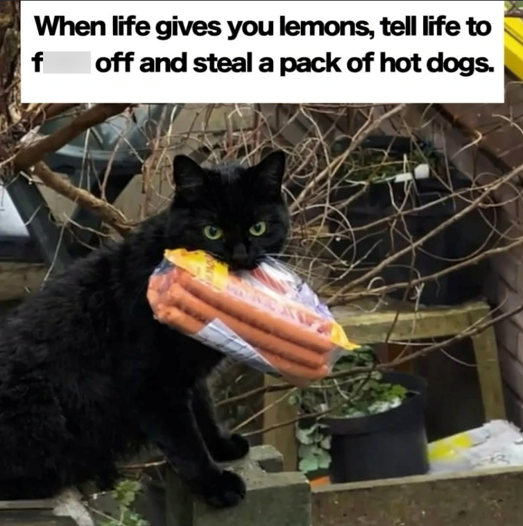 When life gives you lemons, tell life to f off and steal a pack of hot dogs.
