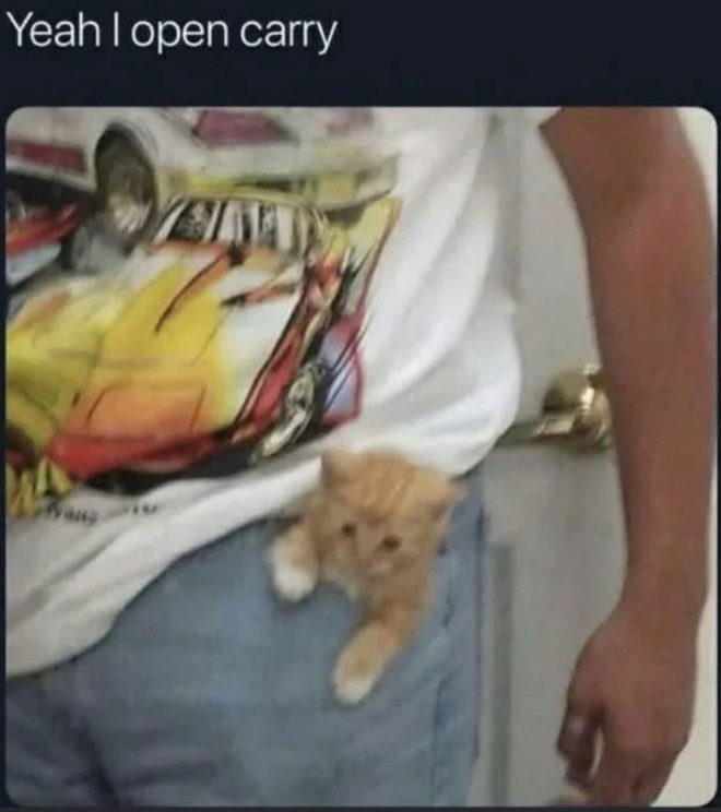 Yeah I open carry