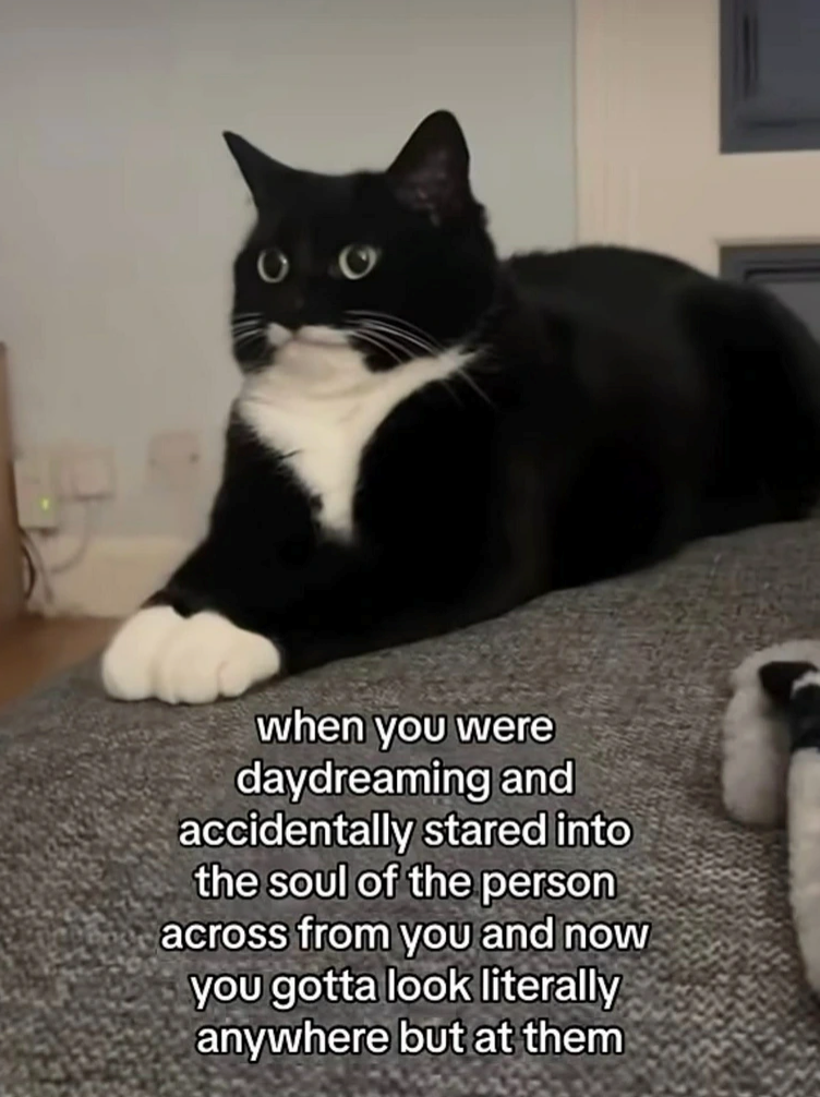 when you were daydreaming and accidentally stared into the soul of the person across from you and now you gotta look literally anywhere but at them