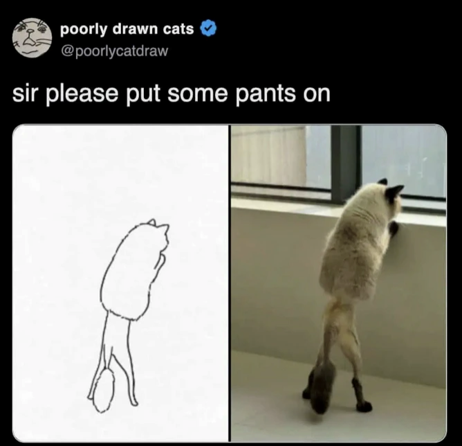 poorly drawn cats @poorlycatdraw sir please put some pants on
