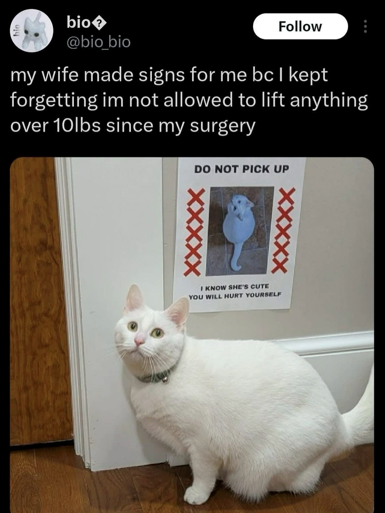 bio�>> @bio_bio Follow my wife made signs for me bc I kept forgetting im not allowed to lift anything over 10lbs since my surgery DO NOT PICK UP XXXXX I KNOW SHE'S CUTE YOU WILL HURT YOURSELF