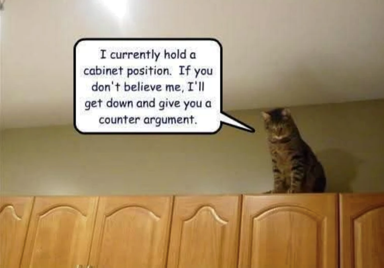 I currently hold a cabinet position. If you don't believe me, I'll get down and give you a counter argument.