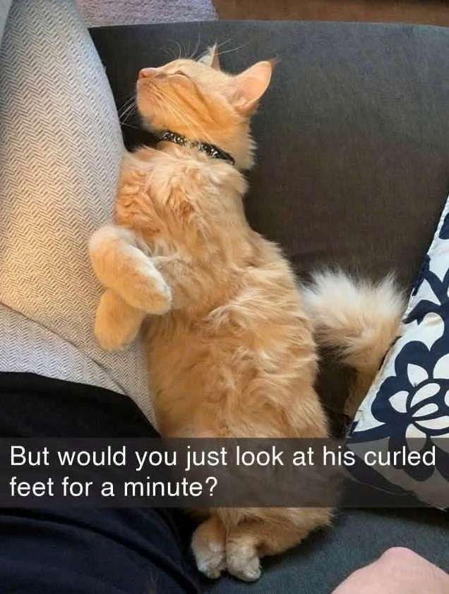 But would you just look at his curled feet for a minute?