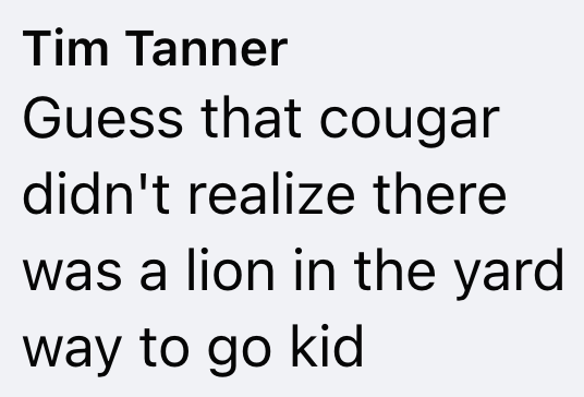Tim Tanner Guess that cougar didn't realize there was a lion in the yard way to go kid