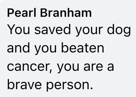 Pearl Branham You saved your dog and you beaten cancer, you are a brave person.
