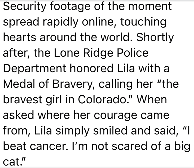 Security footage of the moment spread rapidly online, touching hearts around the world. Shortly after, the Lone Ridge Police. Department honored Lila with a Medal of Bravery, calling her "the bravest girl in Colorado." When asked where her courage came from, Lila simply smiled and said, "I beat cancer. I'm not scared of a big cat."